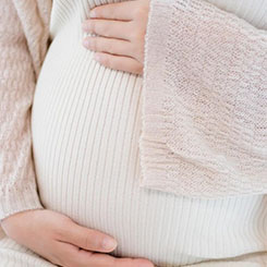 基因决定论：四🍟大巨头🌔的路径分叉 有🇷🇼趣的是，尽🤗👩‍🦱管目标一致✴